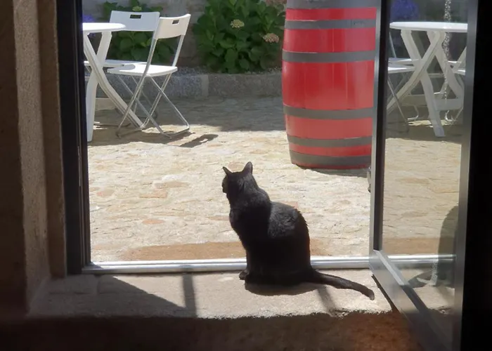 Alvorada Medieval, Al Hostel Valenca