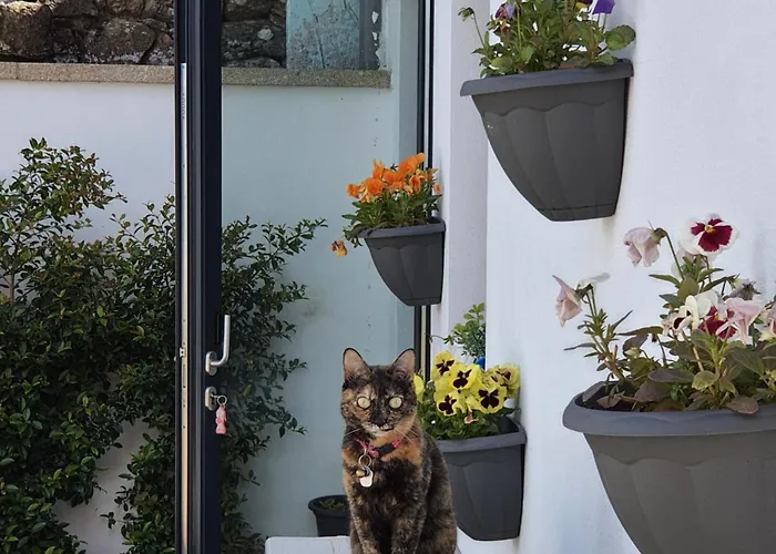 Alvorada Medieval, Al Valenca