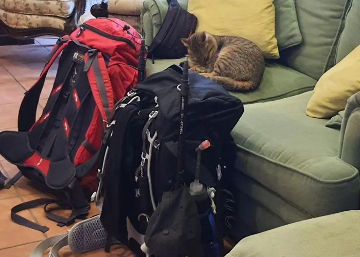 Alvorada Medieval, Al ヴァレンサ